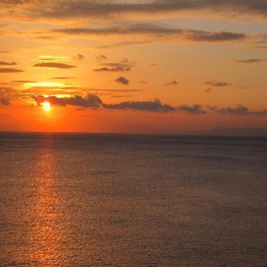 森の入り江の離れ宿 無雙庵枇杷 Izu  Exterior foto